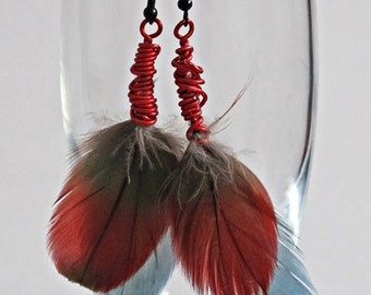 Red and Blue Feather Earrings, Greenwing Macaw Feather Earrings, Gorgeous Vibrant Red and caribbean blue feathers wire wrapped in red copper