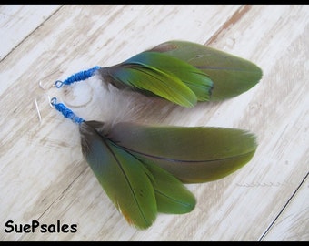 Feather Earrings, Green and blue, greenwing macaw feather earrings, boho, hippie, boho chic, hippie chic, dangle earrings, earrings