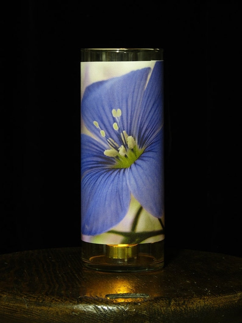 Photo Luminary Romantic Decor Bedroom Decor Nightlight Candle Vase Glass Cylinder Light Cottage Chic Photography Blue Flowers