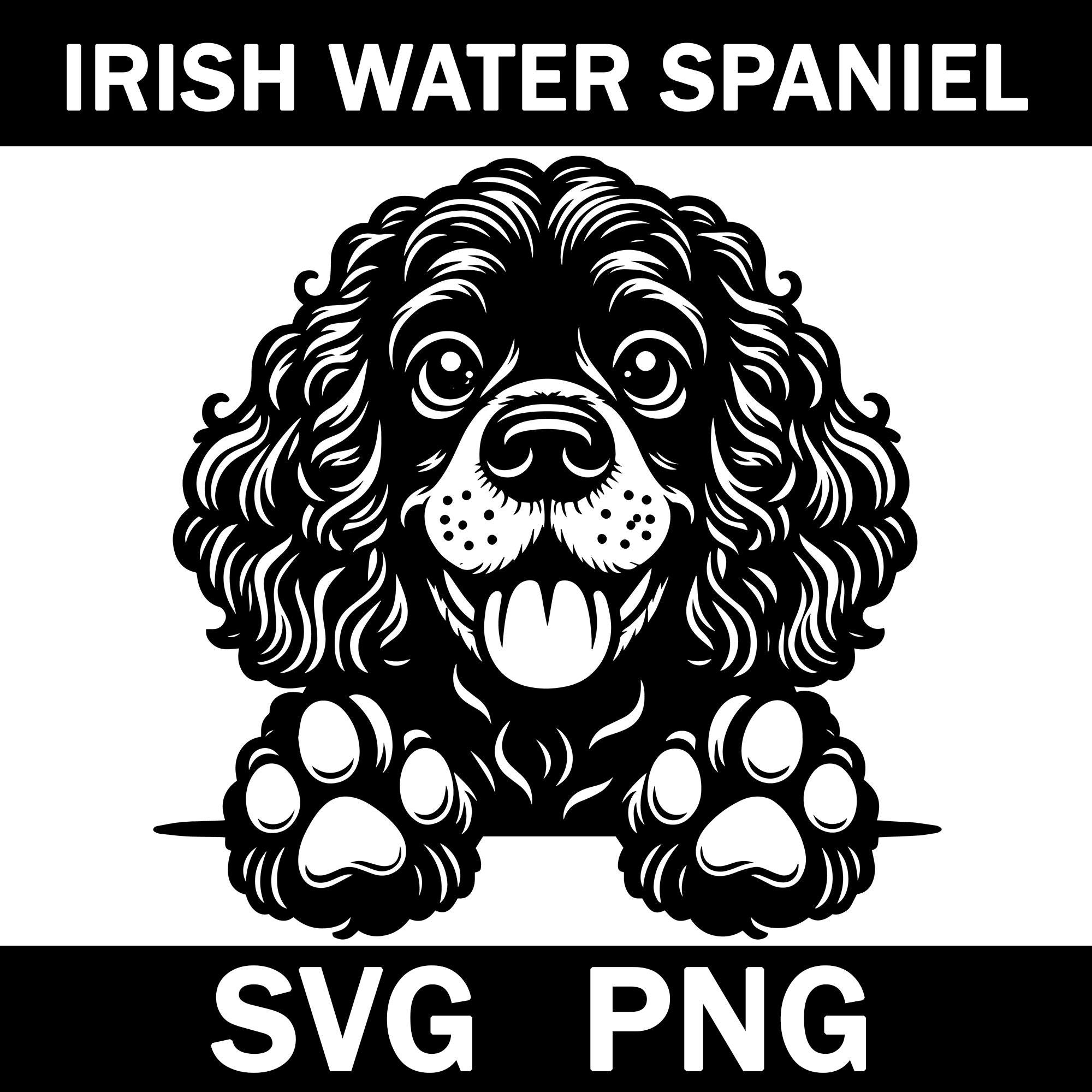 Lustige Irish Water Spaniel Grußkarte Von Bryn Parry – Perfekt Für Hundeliebhaber