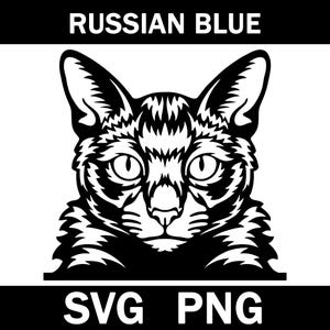 Russian Blue Peeking Cat Svg, Png, Vector, Cricut, Clipart, Instant Download