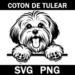 Coton De Tulear Peeking Dog Svg, Png, Instant Download