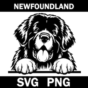 Newfoundland Peeking Dog Svg, Png, Instant Download