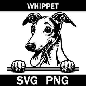 Whippet spähender Hund geschnitten, Png, Sofort Download