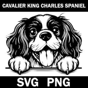 Cavalier King Charles Spaniel Peeking Dog Svg, Png, Instant Download