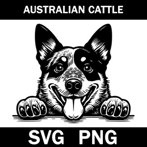 Cane da pastore australiano SVG, PNG, Download immediato