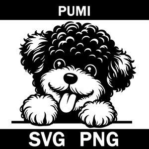 Pumi Peeking Dog Svg, Png, Instant Download