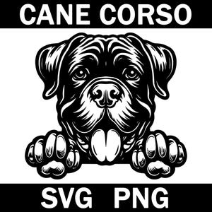 Cane Corso Peeking Dog Svg, Png, Instant Download