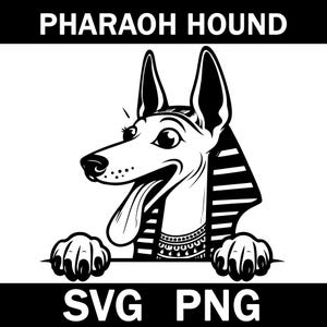 Pharaoh Hound Peeking Dog Svg, Png, Instant Download
