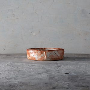Utsuwa Sara Hirasara Hirabachi Shino Yaki Yakimono Shallow Bowl with Warm Glaze from Gifu