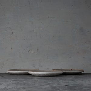 Shino Ware Small Plates Set of 3 Floral Iron Painting Dessert Plates Vintage Japan