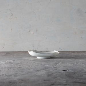 Utsuwa Mame-Sara Arita-yaki Yakimono Asymmetrical Plate with Goldfish Motif by Genroku Kiln
