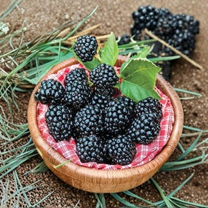 May include: A round wooden bowl filled with fresh, dark purple blackberries. The bowl is lined with a red and white checkered cloth. Several blackberries have small green leaves attached, and a few loose berries sit outside the bowl.