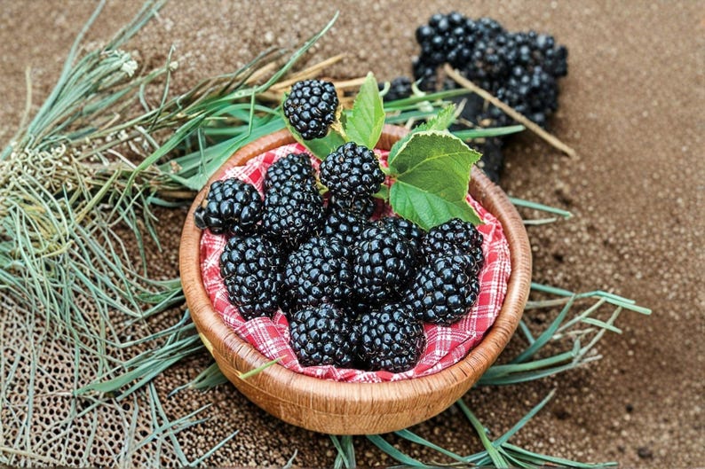 May include: A round wooden bowl filled with fresh, dark purple blackberries. The bowl is lined with a red and white checkered cloth. Several blackberries have small green leaves attached, and a few loose berries sit outside the bowl.