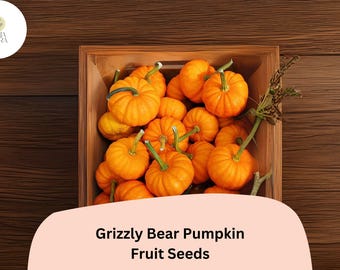 Jack Be Little Pumpkin Seeds | Heirloom Mini Pumpkins