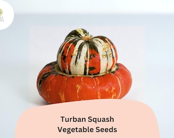 Turban Squash Seeds | Heirloom Winter Squash, Edible & Decorative