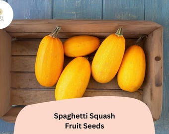25+ Spaghetti Squash Seeds | Winter Squash Variety for Nutritious Pasta Alternative