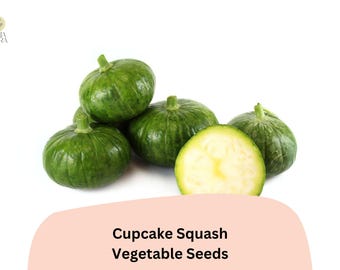 Cupcake Squash Seeds | Patty Pan Zucchini, Easy Grow