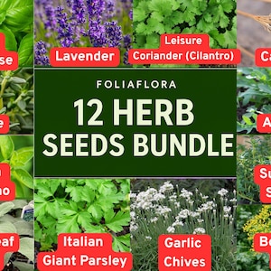May include: A collage of various herbs and plants, including basil, lavender, thyme, oregano, and more. The image features a "12 Herb Seeds Bundle" with the brand name "Foliaflora" in the center. Each herb is labeled with its name in a red box.