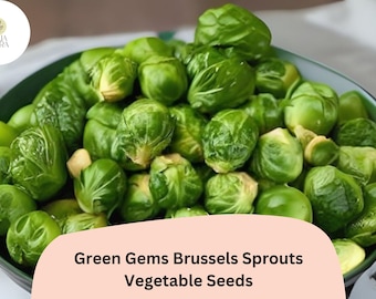 Green Gems Brussels Sprout Seeds | Hybrid, 500+ Bulk Vegetable Seeds