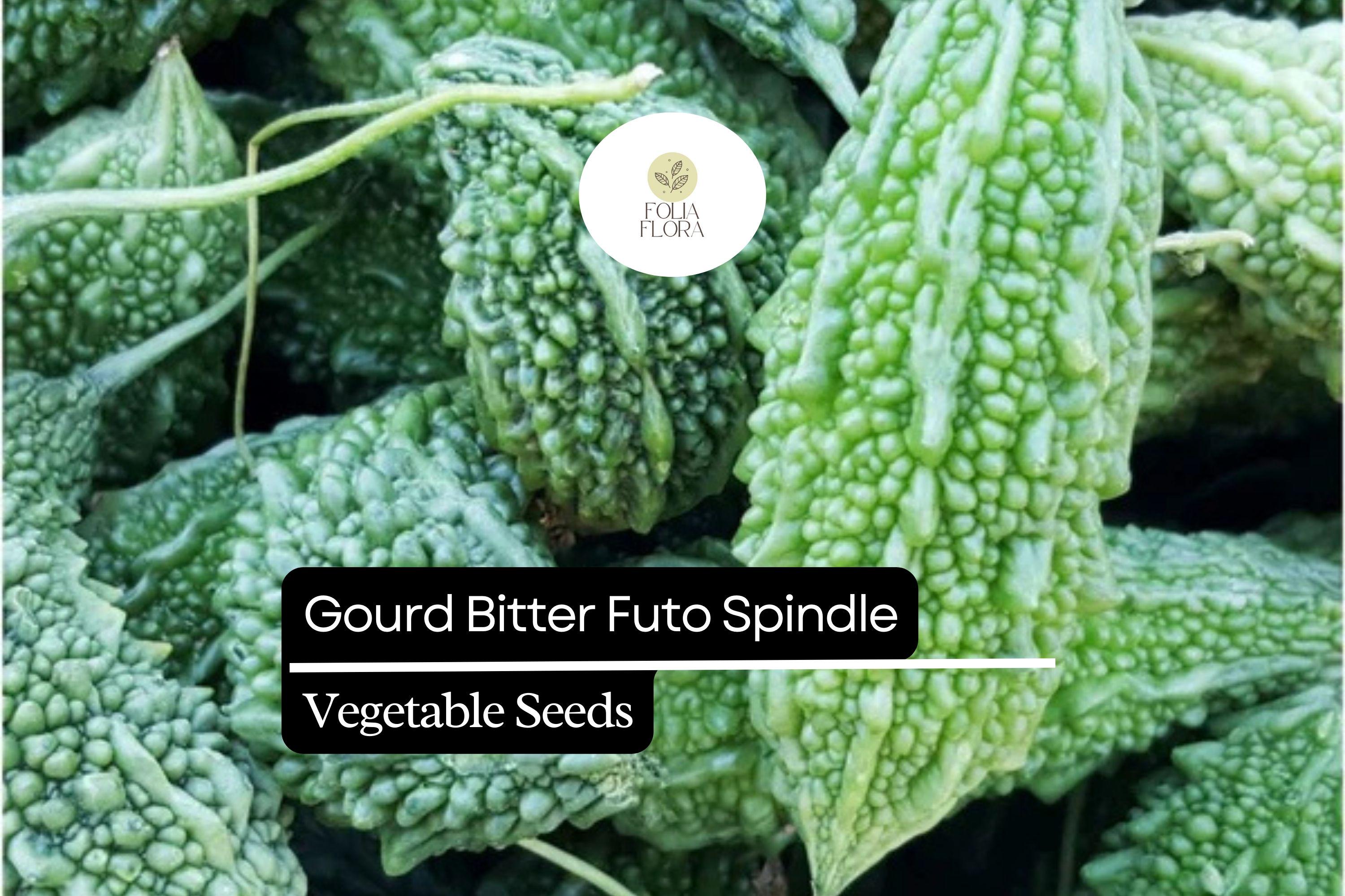 5 Seeds Bitter Gourd Futo Spindle Momordica Charantia | Heirloom, Non ...