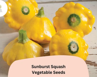 Sunburst Squash Seeds | Yellow Patty Pan, Heirloom Vegetable
