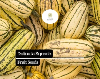 20 Seeds Delicata Squash (Cucurbita pepo) – Sweet, Nutty Flavor, Easy-to-Grow Winter Squash