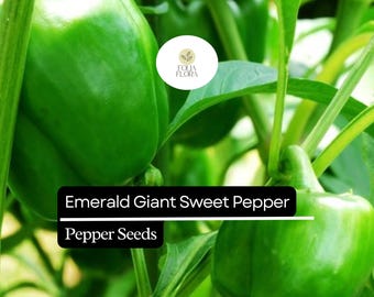 Emerald Giant Sweet Pepper Seeds - Heirloom Non-GMO Bell Pepper
