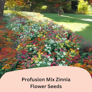 Semillas de zinnia Profusion Mix: Flores coloridas y compactas - Atrae a los polinizadores