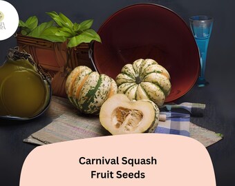 Carnival Squash Seeds | 25+ Cucurbita Pepo, Gourmet Winter Variety