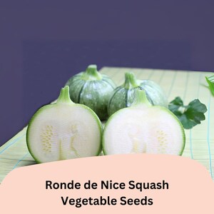 May include: Image of Ronde de Nice squash vegetable seeds. The image shows a halved squash with a light green exterior and white interior, alongside whole squashes. The text "Ronde de Nice Squash Vegetable Seeds" is displayed.