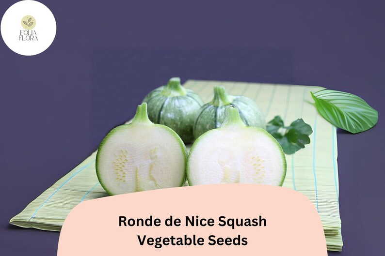 May include: Image of Ronde de Nice squash vegetable seeds. The image shows a halved squash with a light green exterior and white interior, alongside whole squashes. The text "Ronde de Nice Squash Vegetable Seeds" is displayed.