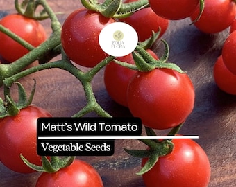 Matt’s Wild Cherry Tomato Seeds | Heirloom, Sweet & Easy to Grow