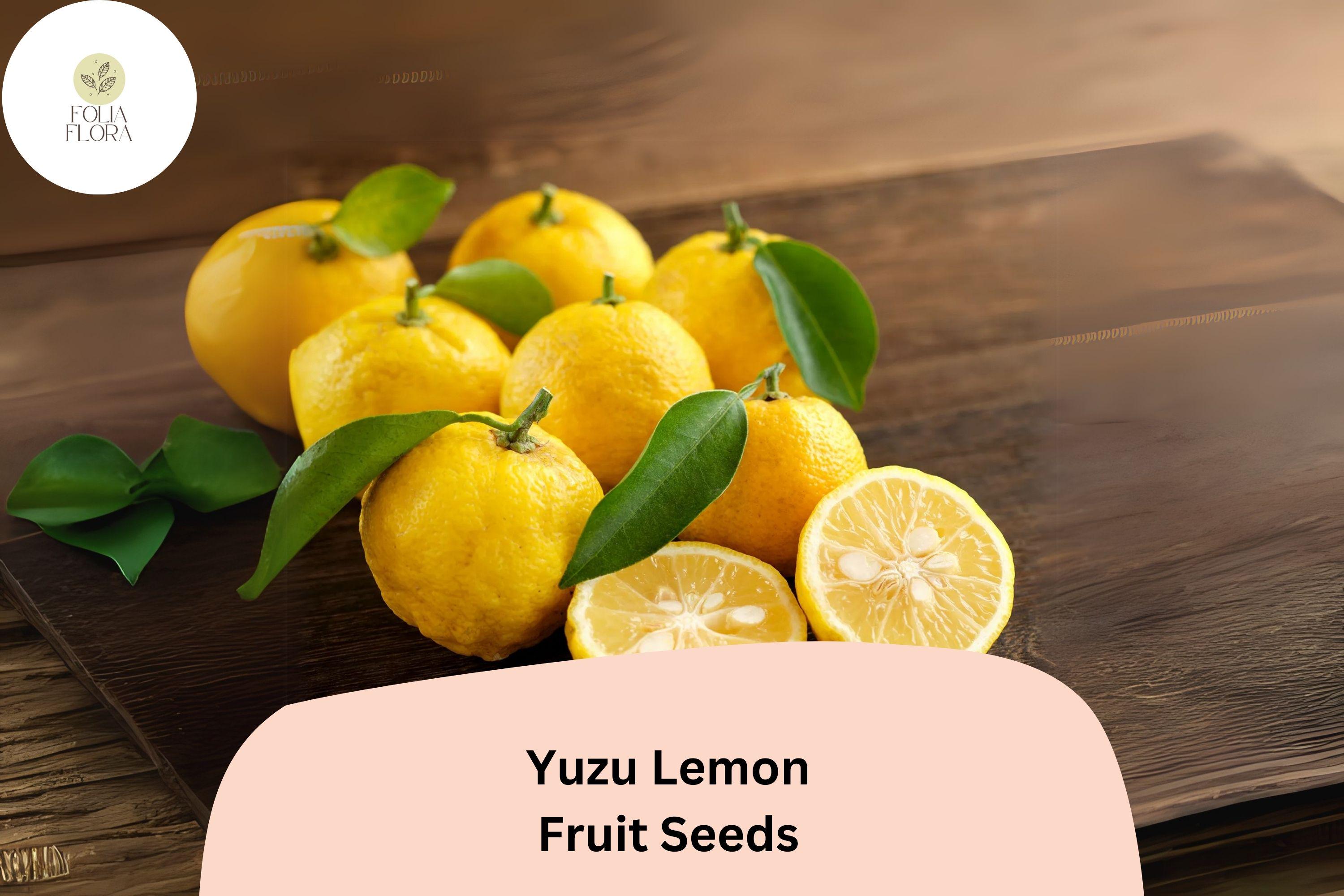 Yuzu Lemon Tree - Etsy