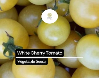 White Cherry Tomato Seeds | Heirloom Solanum Lycopersicum (15 Seeds)