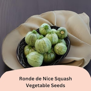 May include: A black woven basket filled with Ronde de Nice squash. The squash are round, green, and speckled. The basket sits on a beige cloth, with a dark gray background. The text "Ronde de Nice Squash Vegetable Seeds" is displayed on a peach-colored banner.