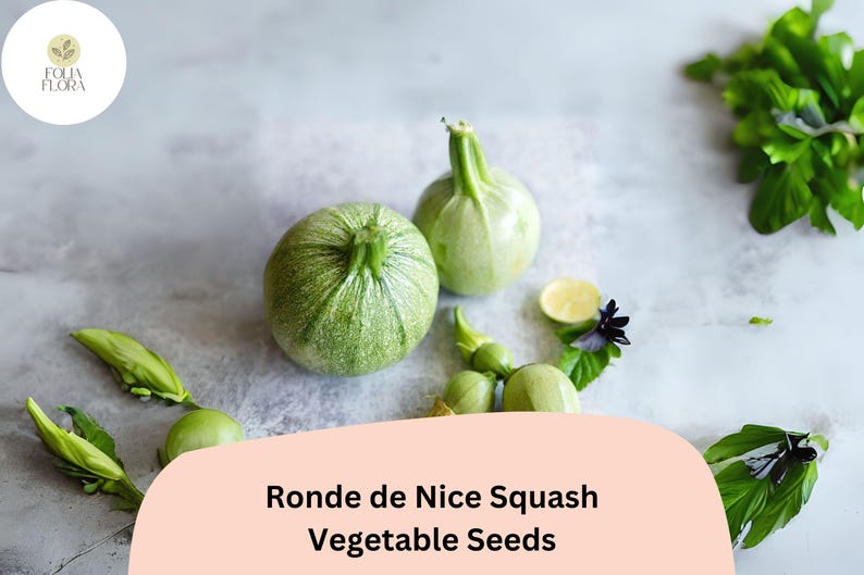 May include: Two round, light green Ronde de Nice squash with textured skin are displayed. The image also includes several smaller squash, green leaves, and a slice of lemon. The text "Ronde de Nice Squash Vegetable Seeds" is at the bottom.