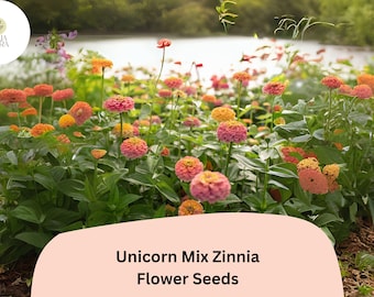 100+ Unicorn Mix Zinnia Seeds – Whimsical Color Blend Annual Flowers for Garden Planting, Borders & Cut Bouquets