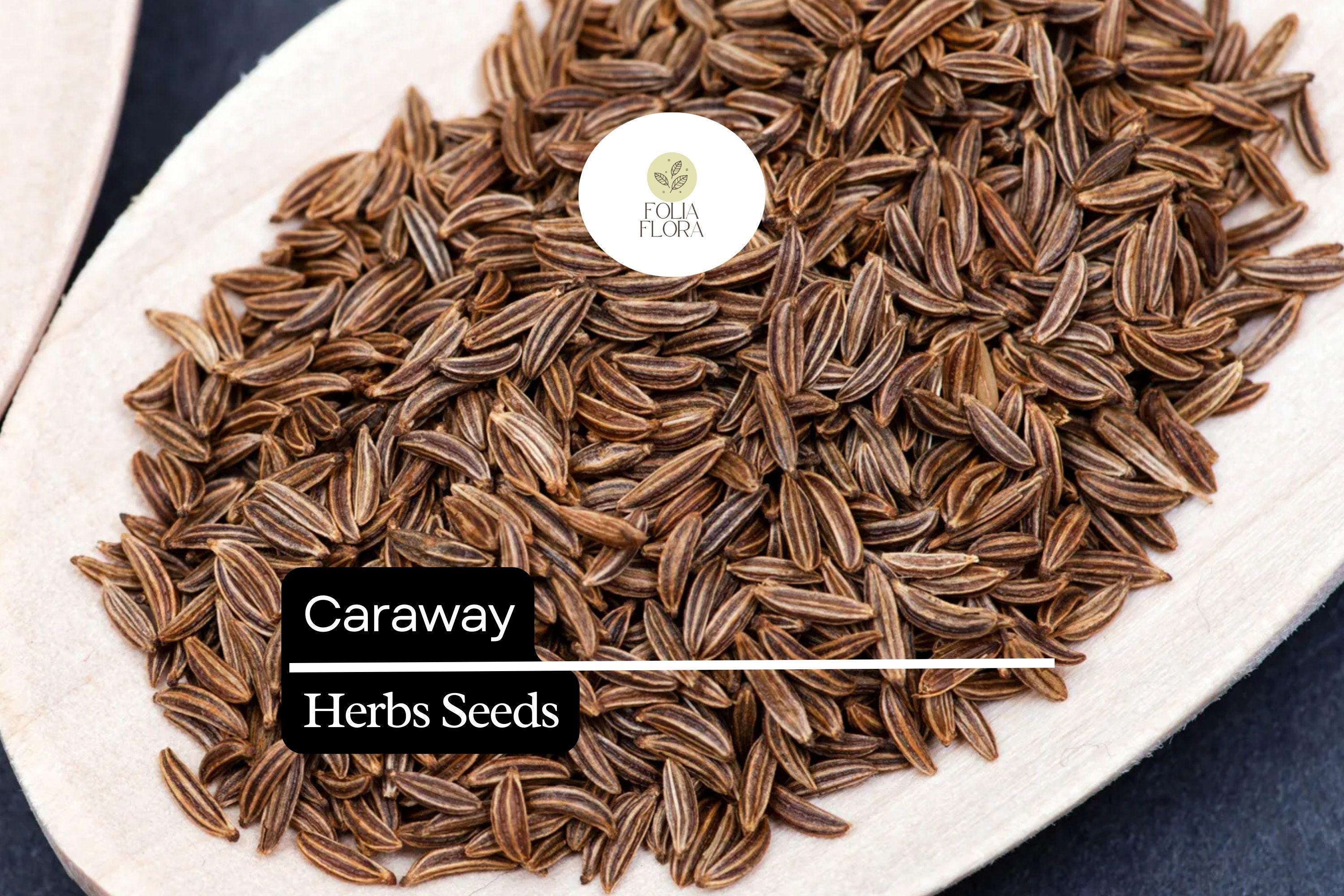 1g Caraway Seeds | Carum Carvi | Heirloom, Non-gmo Culinary Herb