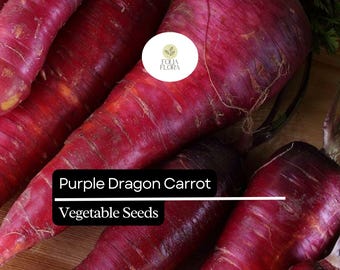 200 Purple Dragon Carrot Seeds, Heirloom Daucus Carota