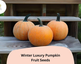 Winter Luxury Pumpkin Seeds (25+) | Heirloom Pie Pumpkin