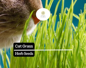 May include: A cat is eating green cat grass. The grass is growing in a pot. The text "Cat Grass Herb Seeds" is on the image.