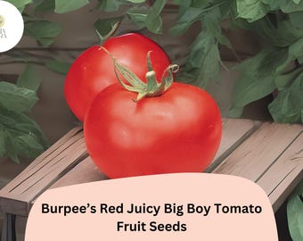 Burpee's Big Boy Tomato Seeds | Juicy Red Heirloom Variety