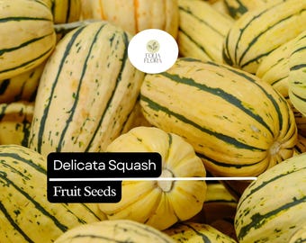 25+ Delicata Squash Seeds for Planting | Sweet Heirloom Winter Squash