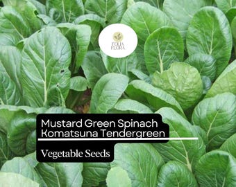 Komatsuna Seeds | Heirloom Asian Greens, Mild Flavor (500mg)
