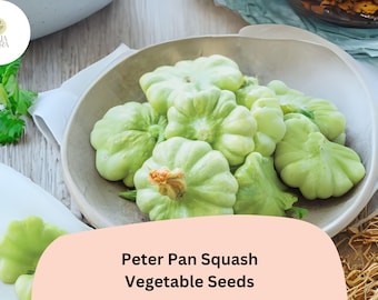 Peter Pan Squash Seeds | Heirloom Green Scallop Patty Pan