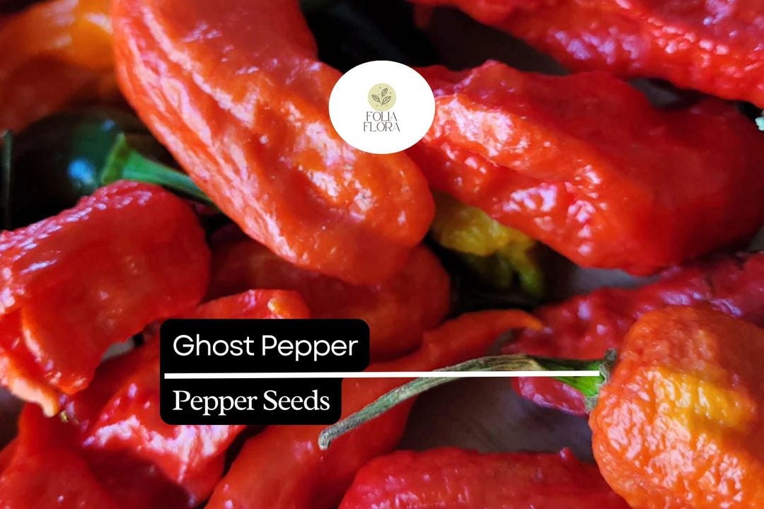 Ghost Pepper Seeds – Bhut Jolokia, Super Hot Heirloom Chili - Etsy