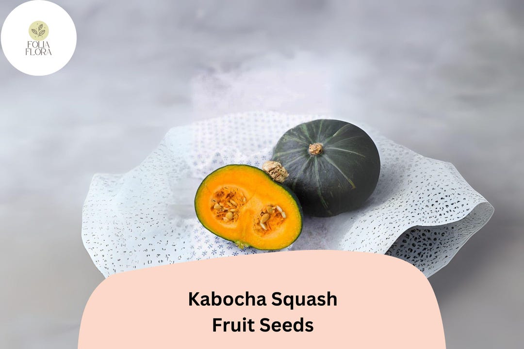 Kabocha Squash Seeds – Heirloom Japanese Pumpkin, 15 Pcs - Etsy