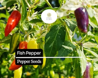 20 Fish Pepper Seeds – Heirloom, Striped Spicy Chili, Non-GMO, High-Yield Capsicum annuum