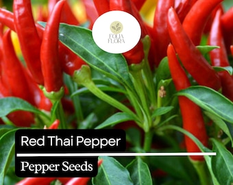 20 Red Thai Pepper Seeds – Hot & Spicy, Heirloom, Non-GMO, High-Yield Chili Peppers